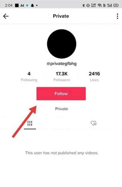 view private tiktok account.